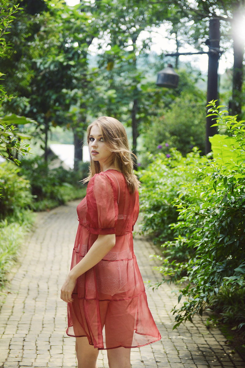 Sheer Silk Slip - Sexy Lingerie Sleepwear - See through Nightgown - Wedding Gift Idea - Gift For Her