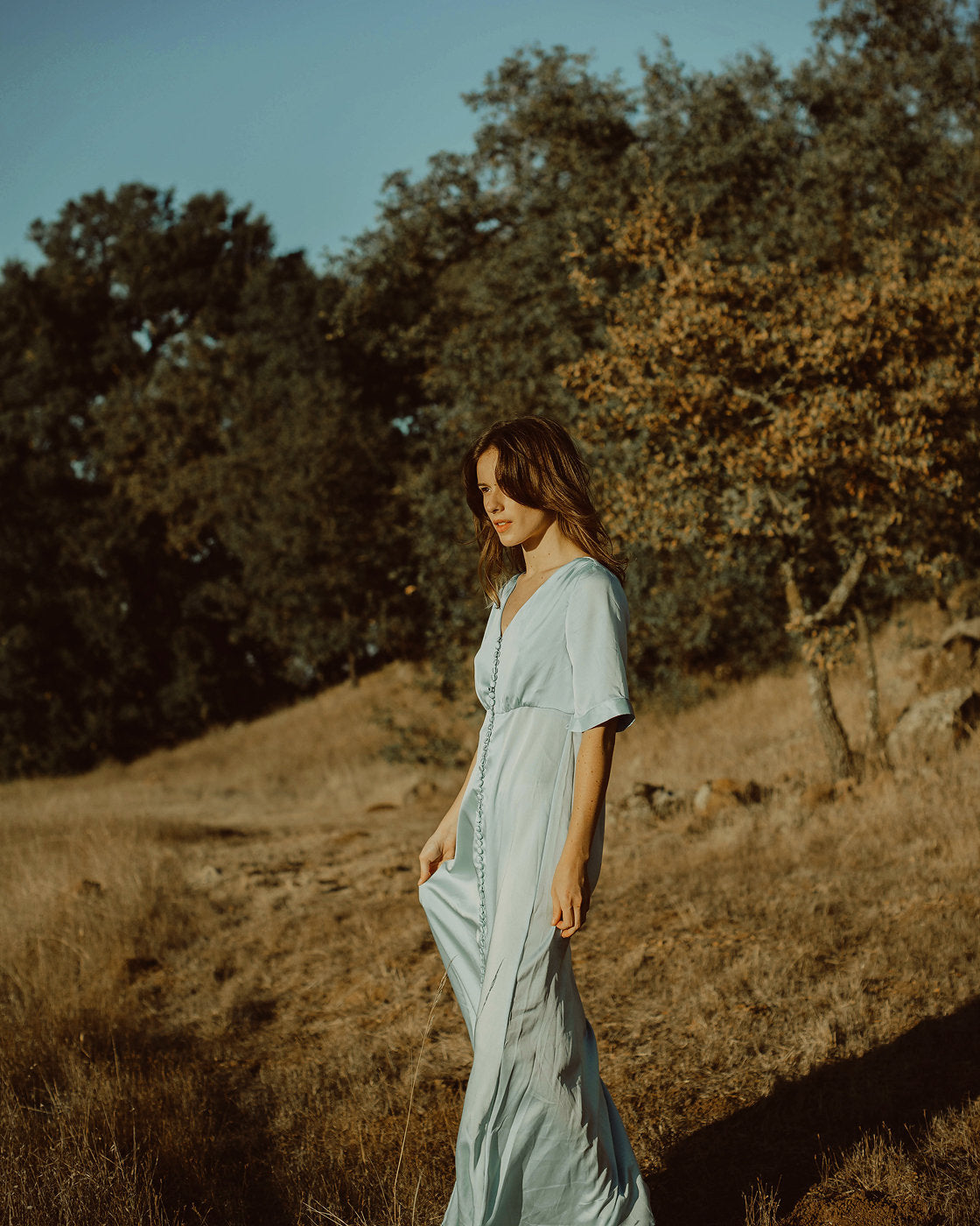 Silk Dress Sleeve - Silk Dress Women - Long Silk Dress - Blue Silk Dress - Short Sleeves Dress