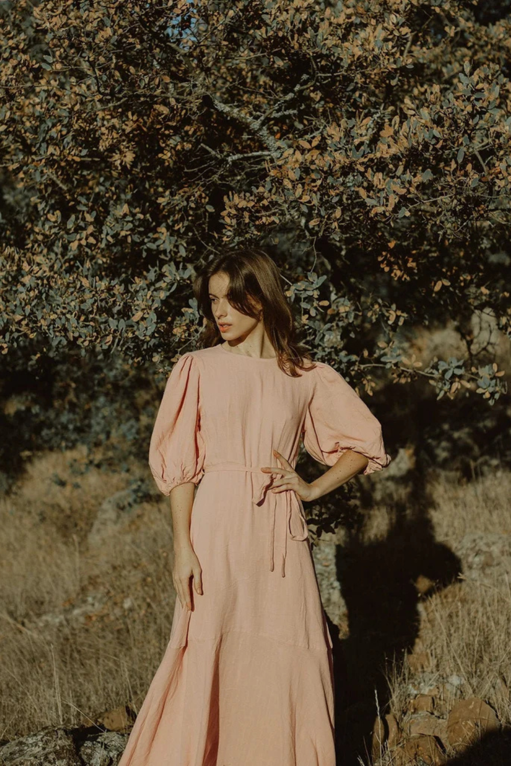 Linen Maxi Dress with Balloon Sleeves