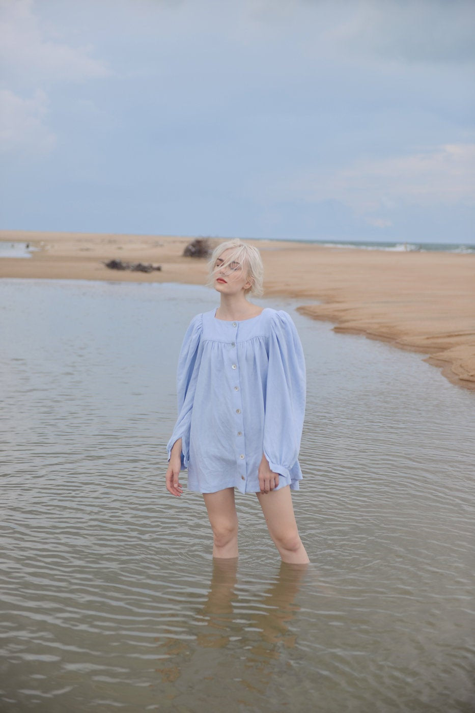 Linen Shirt Dress - Blue Line Shirtdress - Petite Cotton Dress - Women Summer Dress