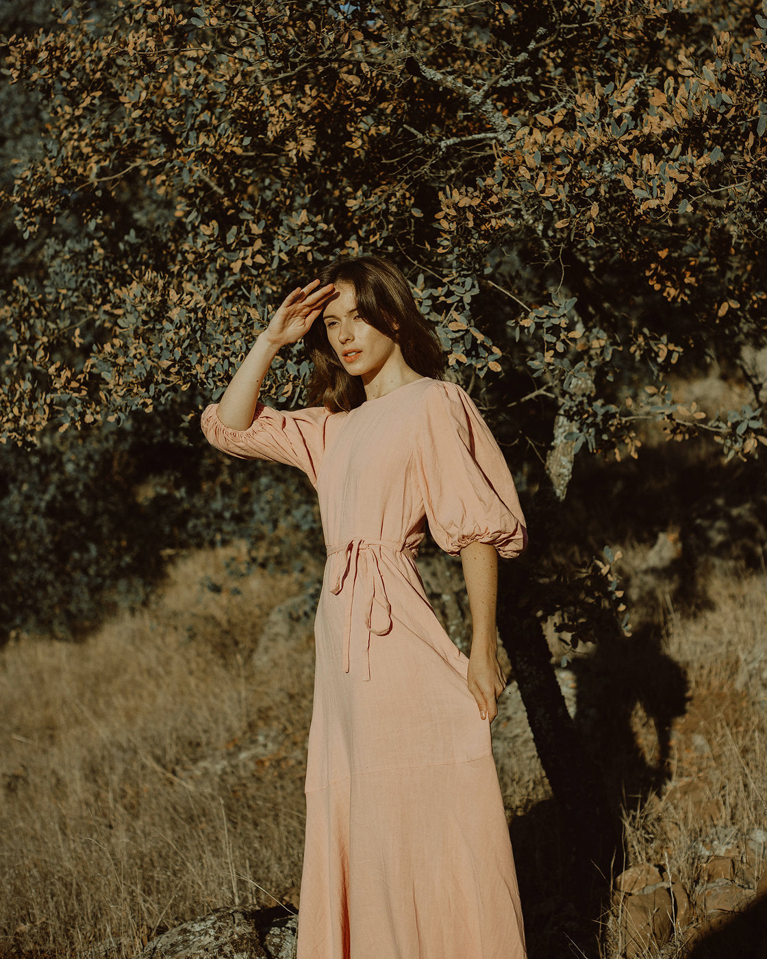 Linen Dress Maxi - Linen Dress Big Sleeve - Womens Long Dress