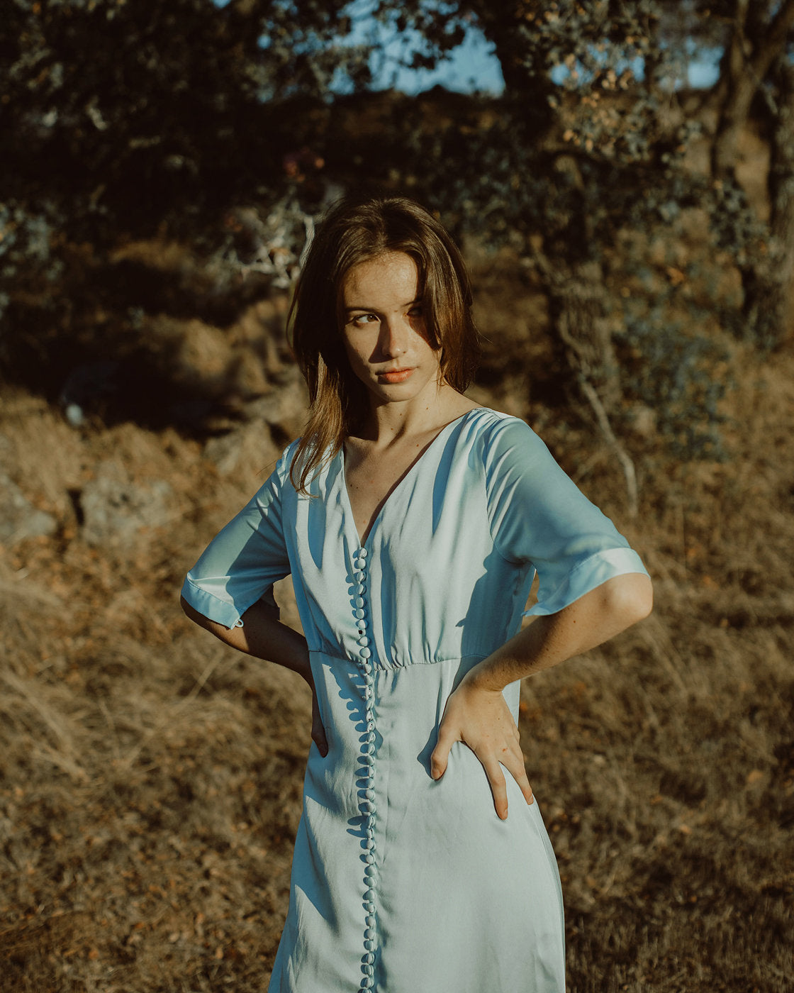 Silk Dress Sleeve - Silk Dress Women - Long Silk Dress - Blue Silk Dress - Short Sleeves Dress