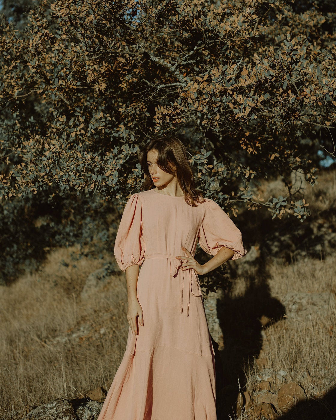 Linen Dress Maxi - Linen Dress Big Sleeve - Womens Long Dress